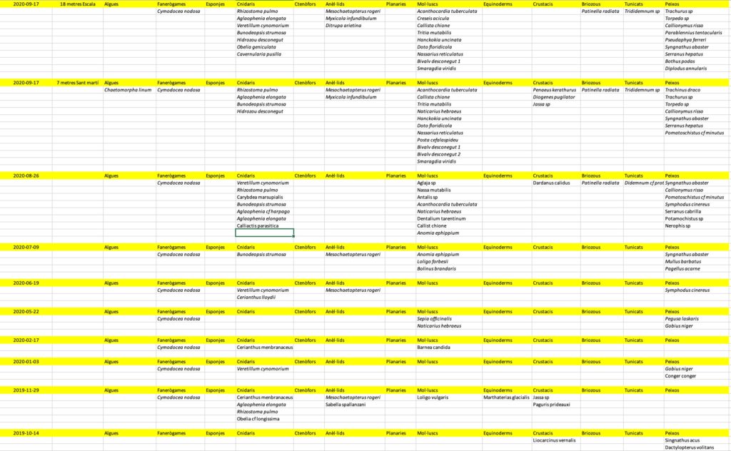 Llistat d'espècies del prat de Gram